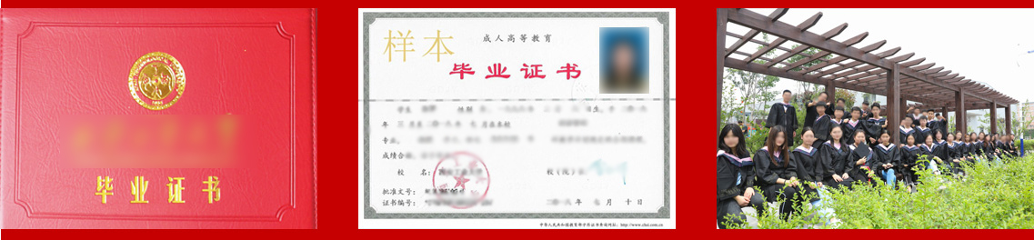 福建新东方大专学历证书